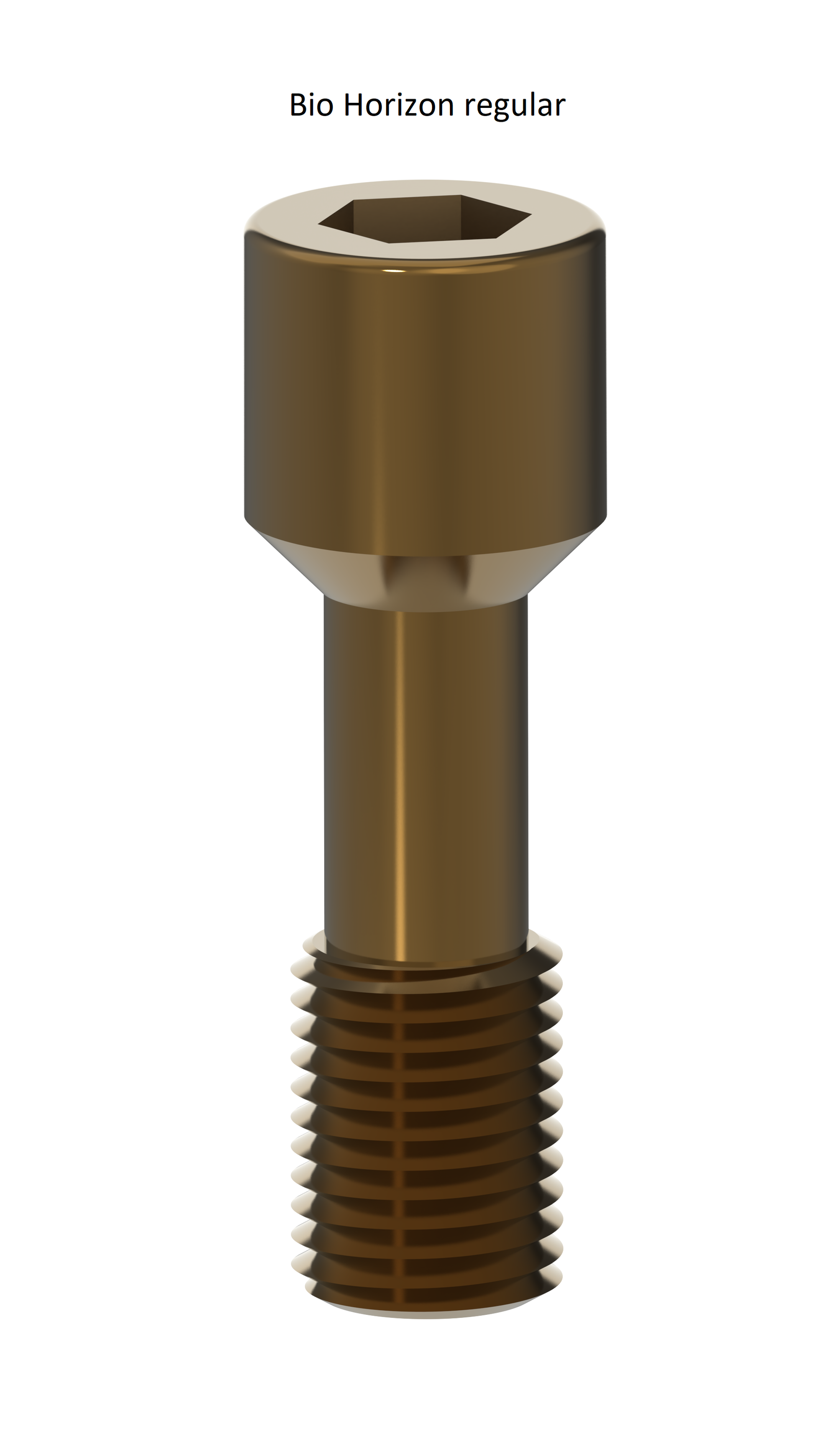 EZ 09 Screws - Bio Horizon regular