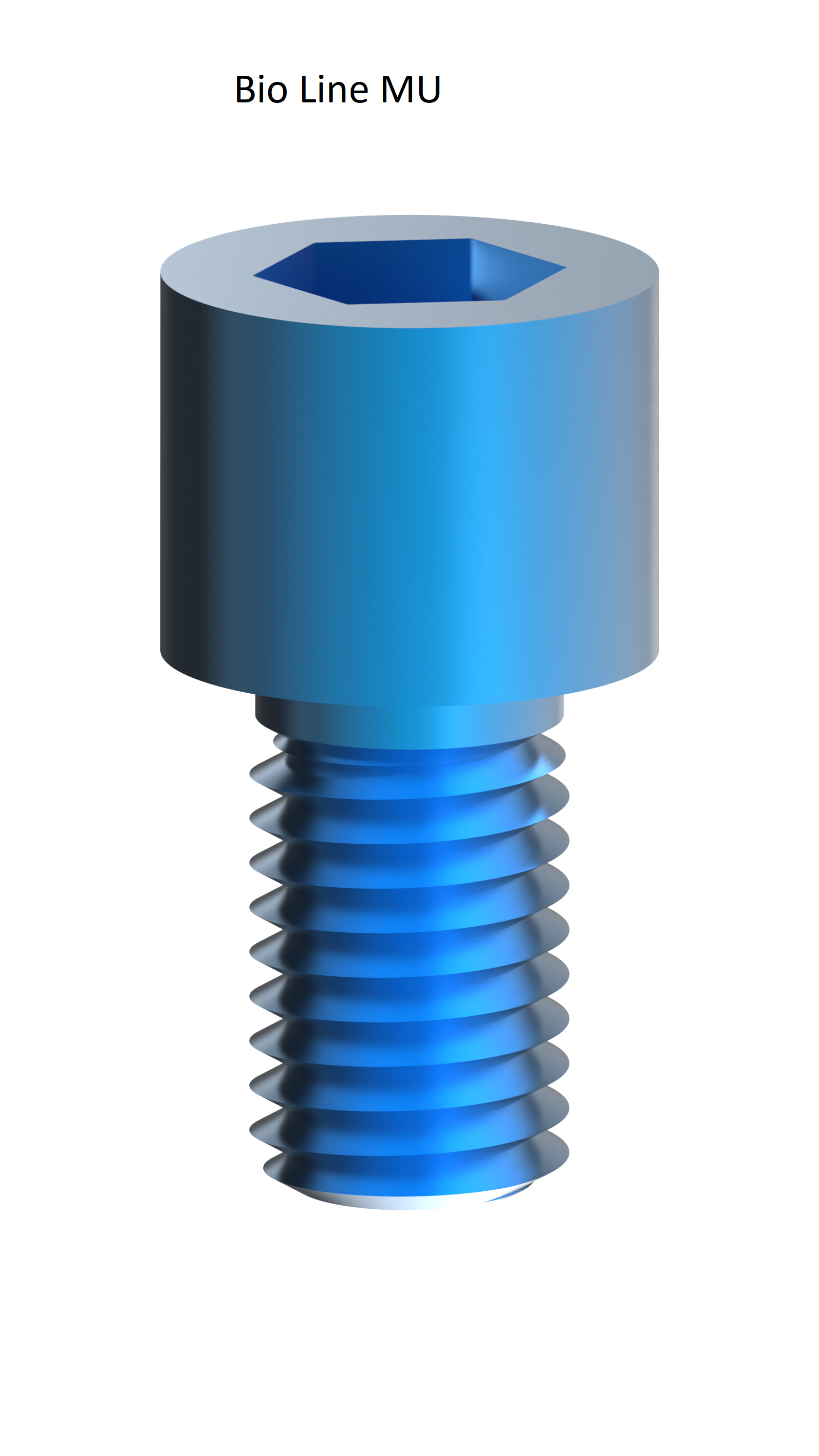 EZ 10 Screws - Bio Line