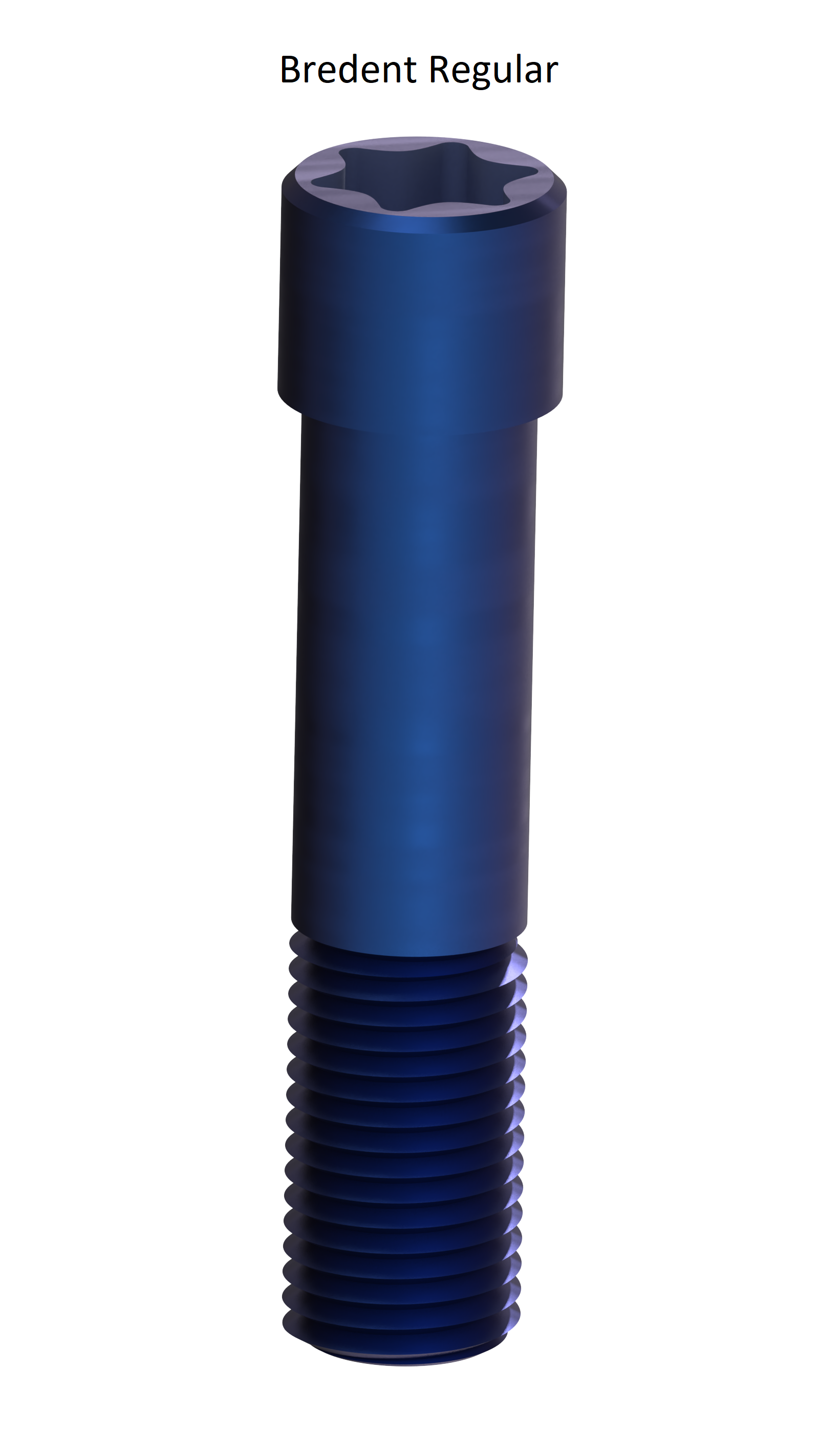 EZ 11 Screws - Bredent