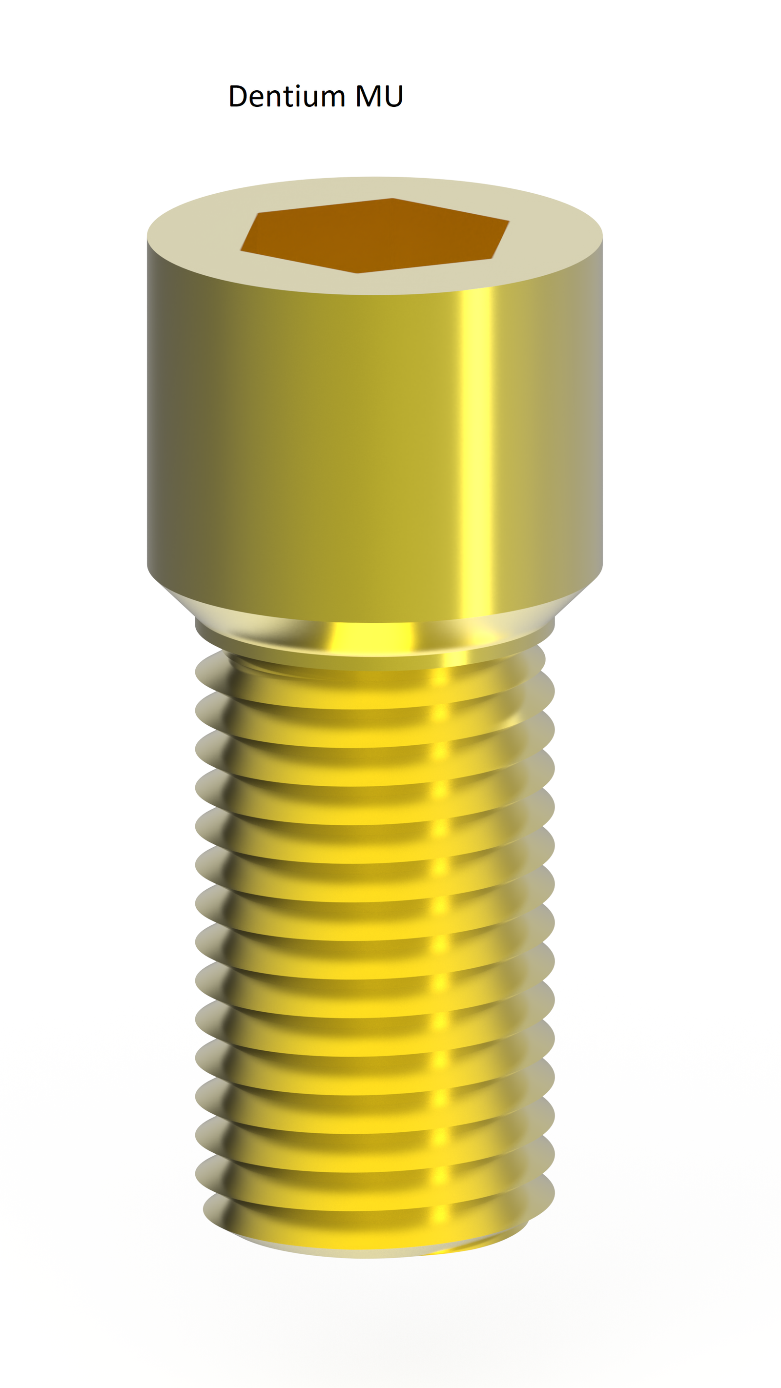 EZ 15 Screws - Dentium®