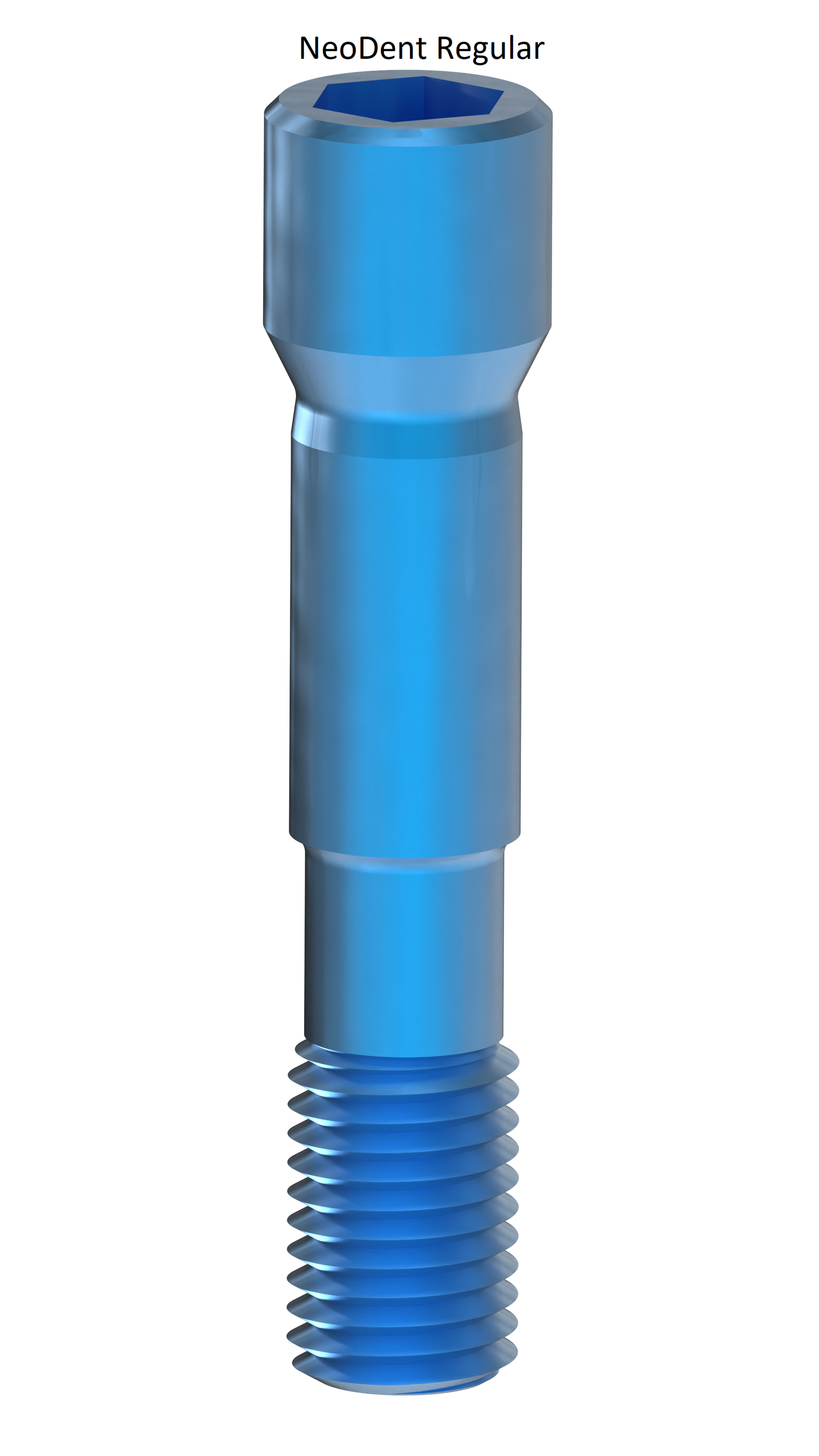 EZ 19 Screws - Straumann® RS Regular