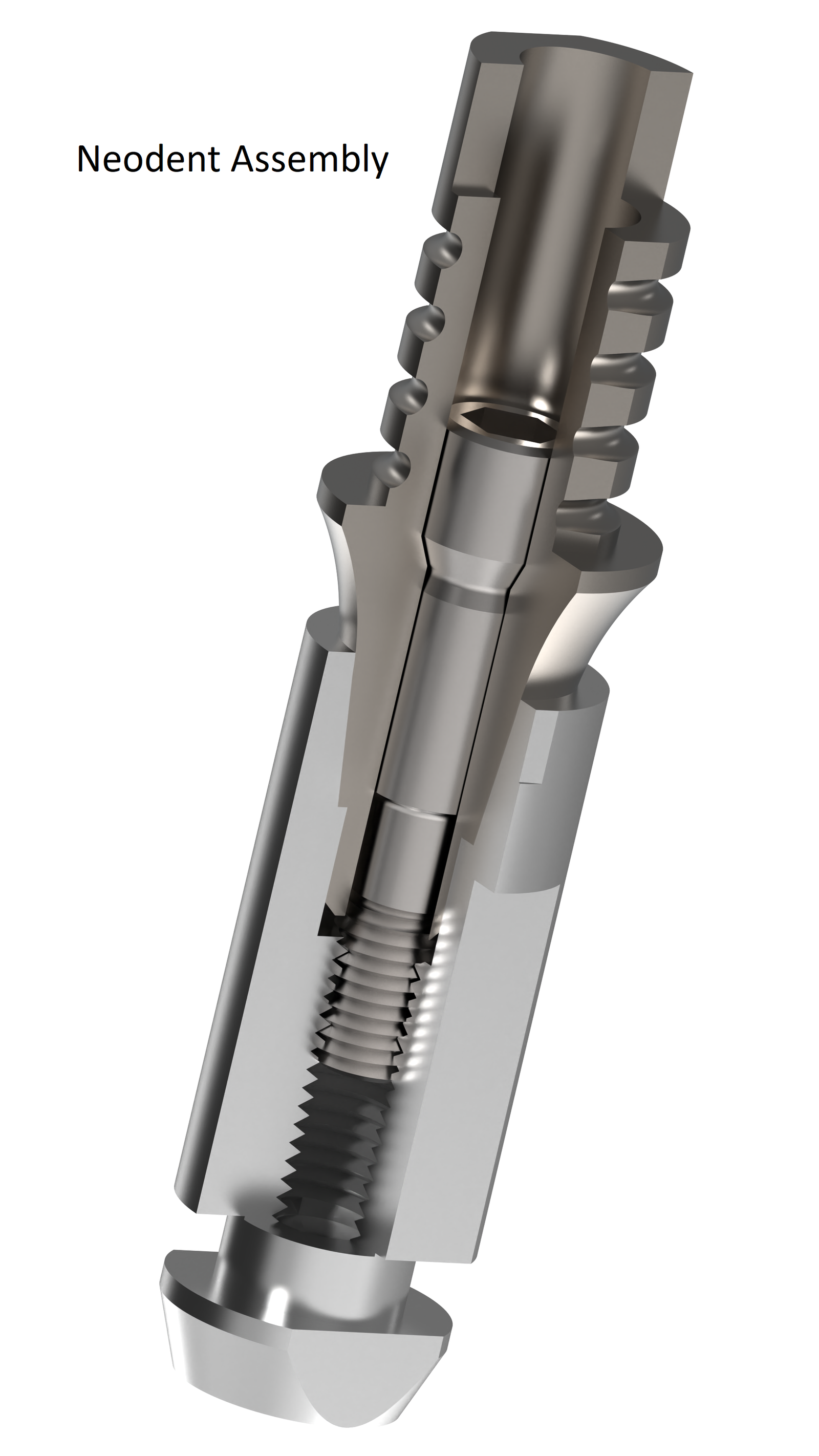 EZ 31 Universal Lab Analog - Neodent®