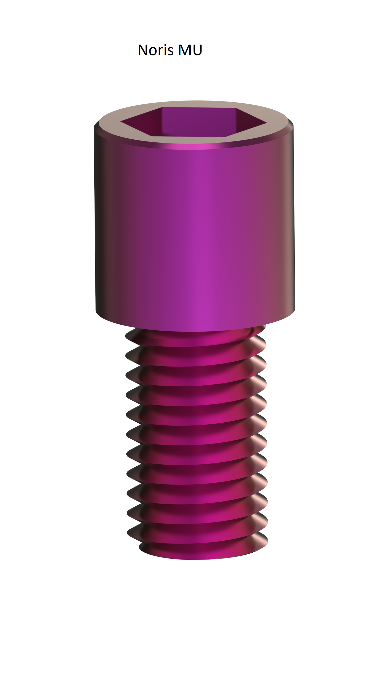 EZ 06  Screws - Noris