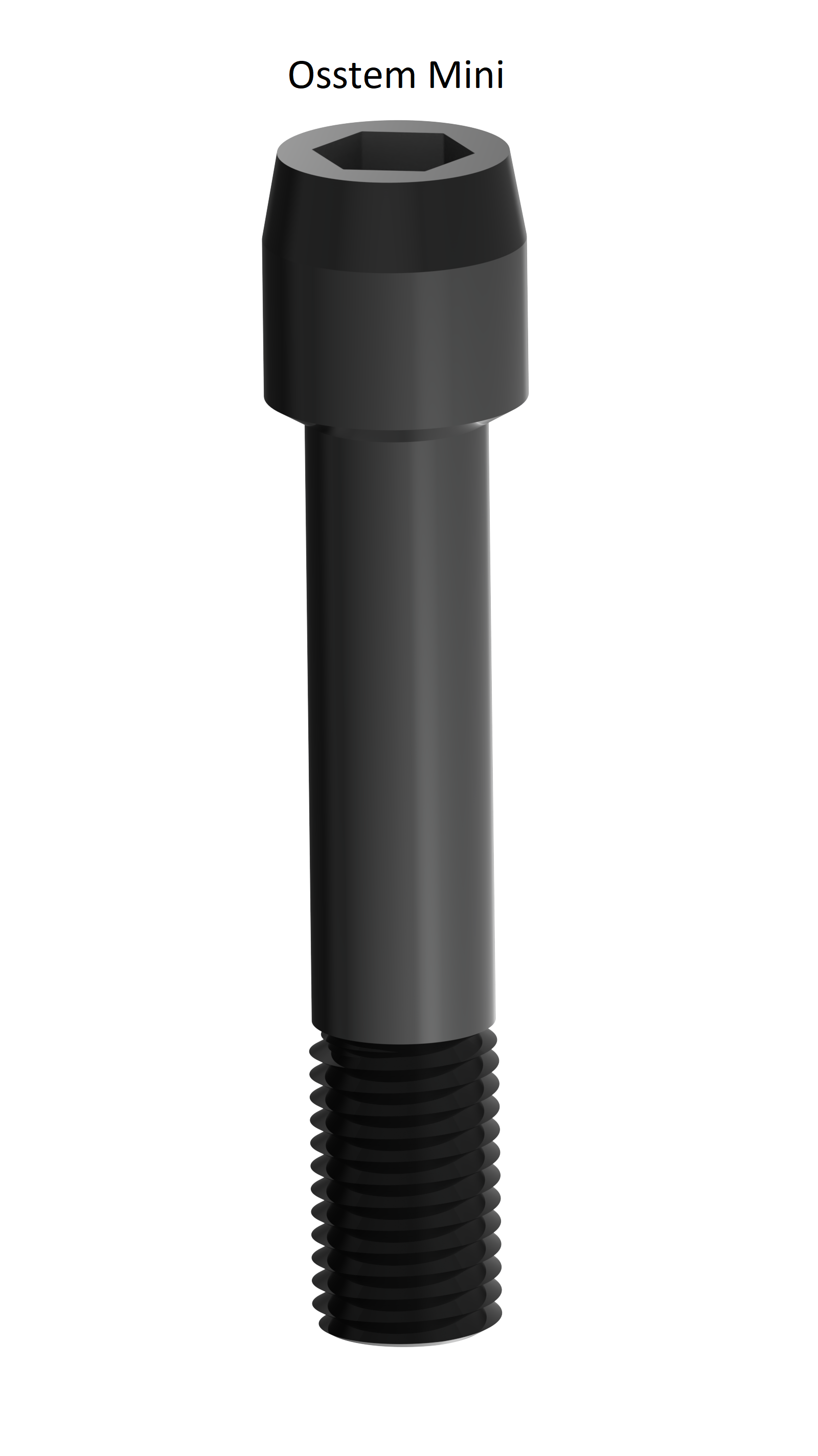 EZ 12  Screws - Osstem Mini